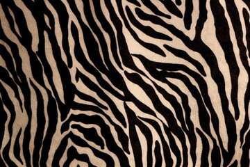 Zebra Texture Treasure Trove: Unveiling Graphic Resources Galore