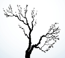 Vector image of mighty tree with bare branches