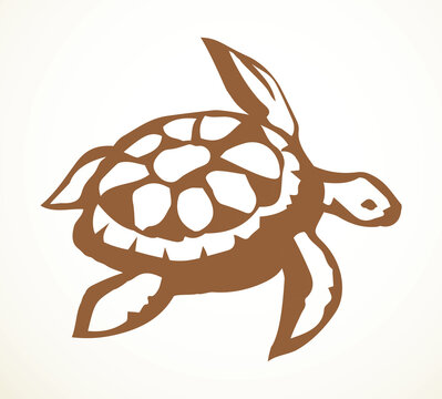 Sea turtle. Vector drawing icon