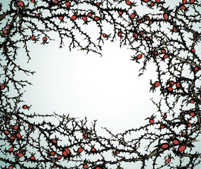 Branch of Blackthorn. Vector drawing