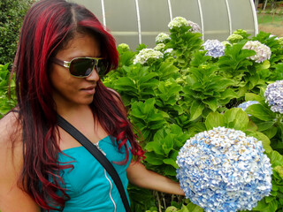 Woman in the Botanical Garden, in front of a Hydrangea, belonging to the hydrangea genus, native to Japan and China and cultivated as an ornamental plant throughout the temperate and subtropical regio