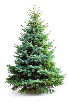 Christmas Tree Isolated on White Background. Festive Spruce Pine Tree with Christmas Decoration