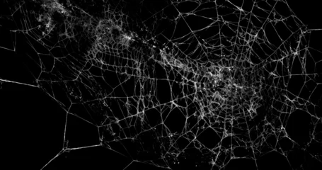 Fotobehang Spider's web realistic use black background © PKSAGAR