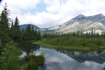 Bow River Valley in Aberta Canada