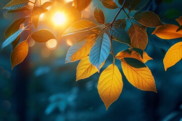 Golden sunlight softly filters through vibrant autumn leaves, highlighting their intricate textures...