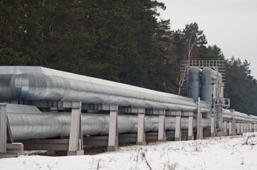 Fototapeta premium pipeline in winter against the backdrop of a snowy forest
