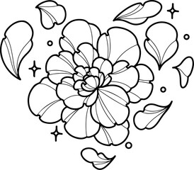 peony petals in heart shape illustration