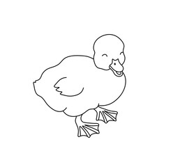 Vector isolated one single cute cartoon duckling duck nestling colorless black and white contour line easy drawing