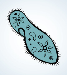 Paramecium caudatum. Vector drawing icon