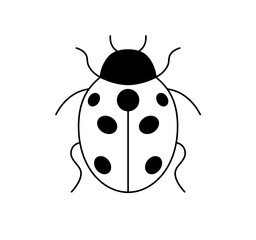 Vector isolated one single ladybug ladybird beetle top view colorless black and white contour line easy drawing