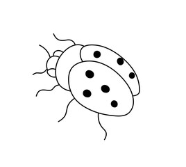 Fototapeta premium Vector isolated one single ladybug ladybird beetle side view colorless black and white contour line easy drawing