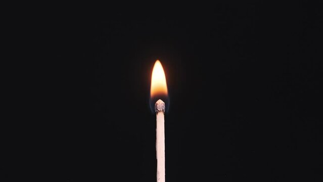 The match stick ignites and burns on a black background close-up, copy space. Igniting match sulfur. One match stick magically lighting and lit. Fire flame from matchstick. 4K