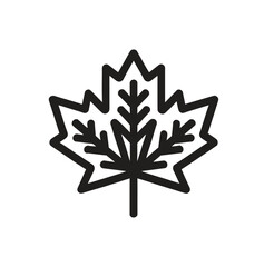 Maple leaf icon,vector illustration. Flat design style. vector maple leaf icon illustration isolated on White background.