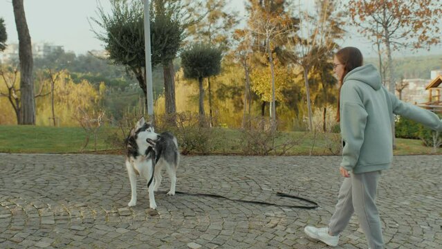 Woman canine pet owner playing with Husky dog tossing toy walking together at autumn city park