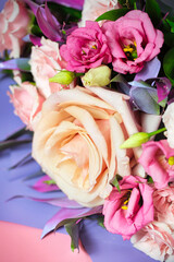 Bouquet of Pink and White Flowers on Purple and Pink Background
