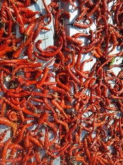 Fototapeta premium Red hot chili is being held for sun-drying. This is an aerial close-up shot