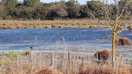 LE COUGOURLIER - Saint Gilles (Gard)
