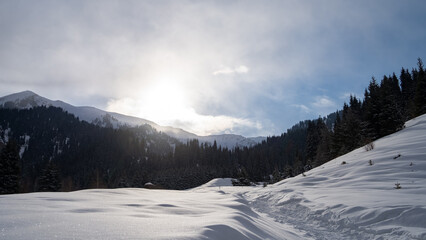 Fototapeta na wymiar Snowy mountain gorge. Mountains in winter. A sunny day in the mountains