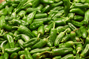 Green peppers piled up