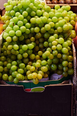Bunches of grapes in cardboard box