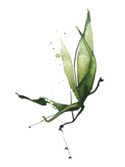 Watercolor hand painted green bamboo branch with leaves. Exotic greenery twig. Clipart watercolour illustration.
