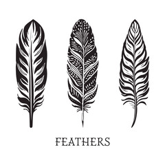  Indian feathers vector illustration
