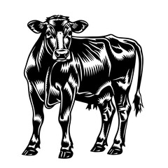 Cow Vector