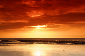Low tide and sunset on the bouchot park of  Hauteville-sur-Mer .Cotentin coast