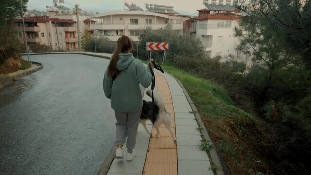 Modern female canine pet owner walking with Husky dog on wet asphalt road at autumn city park