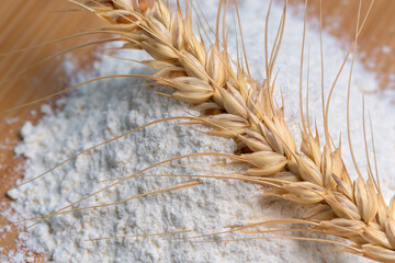 Wheat spikelet in selective focus. Wheat spikelet on wheat flour close-up.