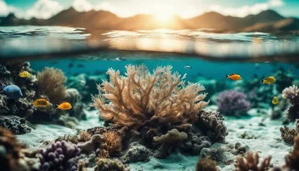 Foto auf Acrylglas Underwater coral reef seabed view with horizon and water surface split by waterline © Adi