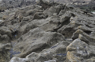 Rocks