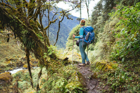 Young female with backpack and poles trekking walking Mera Peak climbing route through jungle rain forest in Makalu Barun National Park, Nepal. Active people and Himalayas tourism concept image.