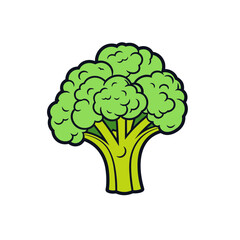 broccoli or cauliflower vector illustration isolated transparent background logo, cut out or cutout t-shirt print design
