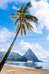 Palmtrees at Soufriere Beach and bay at sunset..Soufriere, Saint Lucia, .West Indies, Eastern Caribbean