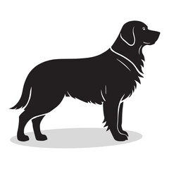 Golden Retriever silhouettes and icons. Black flat color simple elegant white background Golden Retriever animal vector and illustration.