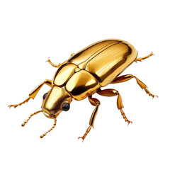 shiny gold beetle isolated on transparent background