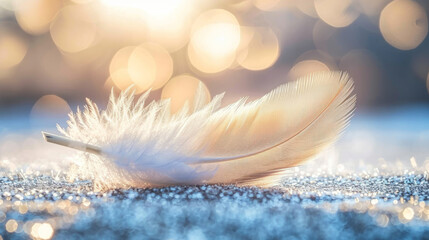 Delicate feather lies on sparkling shiny surface, filled with warm soft glow. Fabulous tranquility