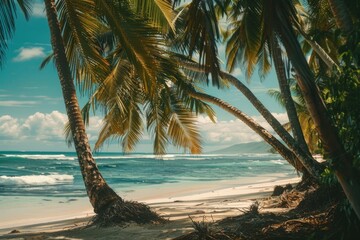 A scenic view of palm trees on a beach with the ocean in the background. Suitable for travel and vacation concepts