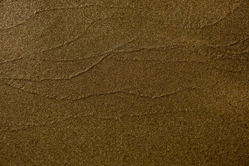 sand from the shore of the beach