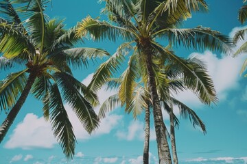 A group of palm trees on a beautiful beach. Suitable for travel brochures or vacation ads