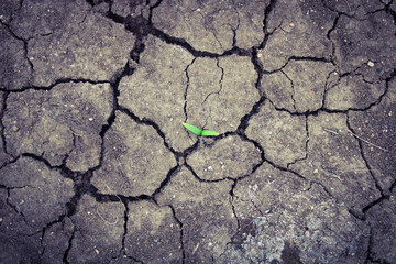A cross on a cracked ground with the words world environment day. Drought water and climate crisis. 
