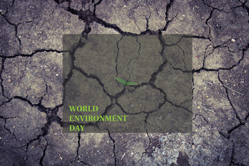 A cross on a cracked ground with the words world environment day. Drought water and climate crisis. 5 june world environment day