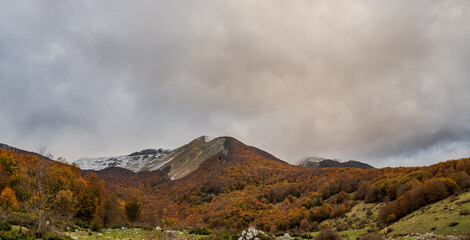 Molise, Mainarde. Autumn landscape. Foliage