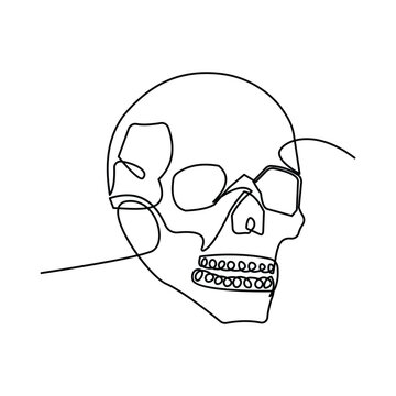 recommend clip art: skull single continuous one line out line vector art  drawing  and tattoo design