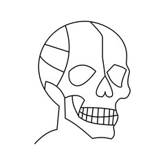 skull single continuous one line out line vector art  drawing  and tattoo design
