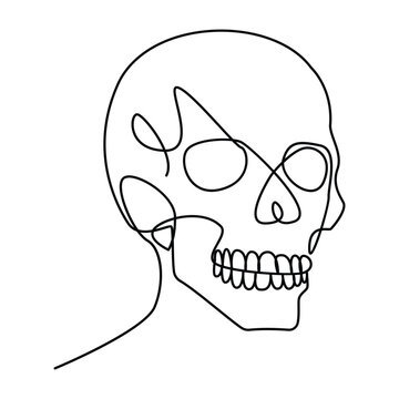 recommend clip art: skull single continuous one line out line vector art  drawing  and tattoo design