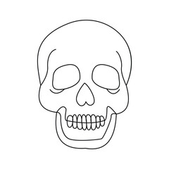 skull single continuous one line out line vector art  drawing  and tattoo design