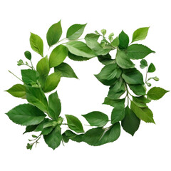 circle of leaves used as illustration