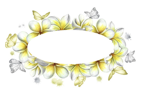 Oval frame with plumeria and butterflies, tropical fragrant frangipani flowers. Hand-drawn watercolor illustration. For packaging and labels. For posters, flyers, greeting cards and invitations.